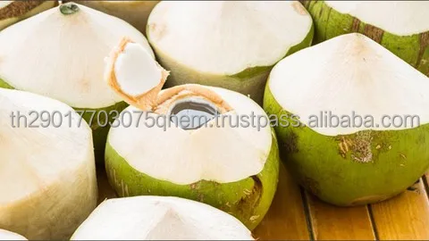 Premium Grade 100% Natural Coconut Young Coconut Fruit From Thailand