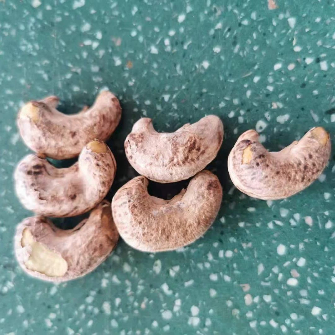 ROASTED SALTED CASHEW KERNELS A180 2022 year VIETNKIEN roasted cashew A180 A320 A210 A240 W320 WW320 WW240 W240 WW210 W210 WW180