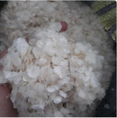 Fish scale collagen Fish scale red tilapia Fish scale red black tilapia In KOREAN/Japan Fish Collagen /Louis +84 943481858