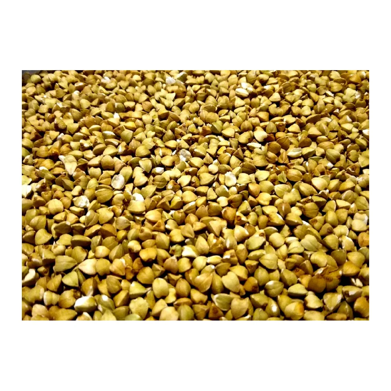 Гречневая зерна в больших пакетах