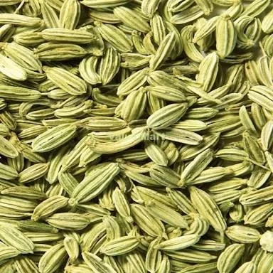 
Fennel Seeds in bulk 