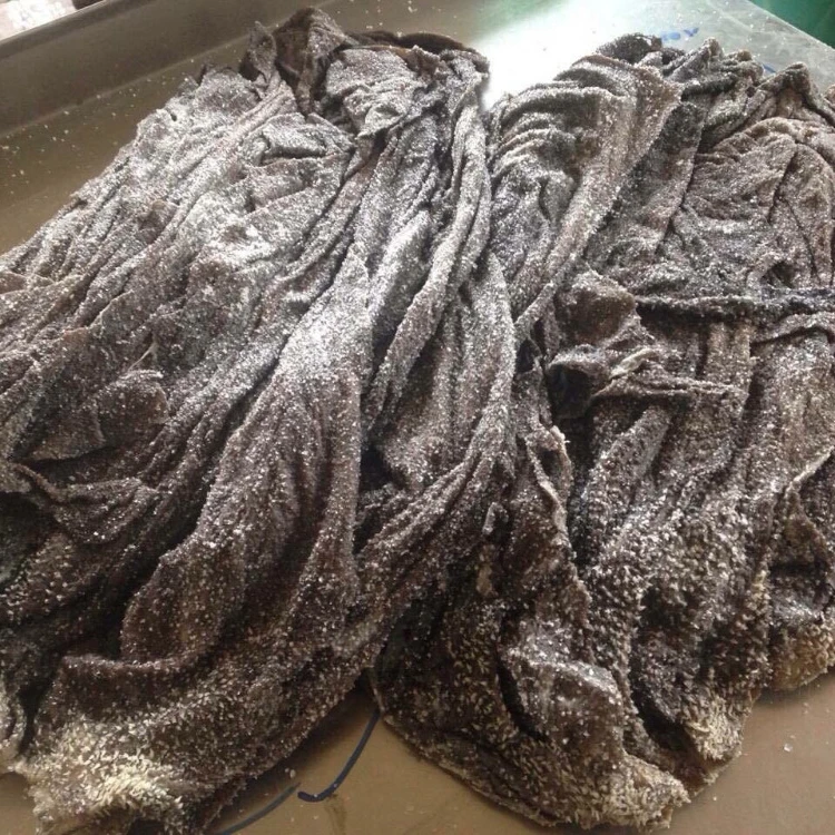 Wholesale Dried Omasum | Beef Salted Dry Omasum