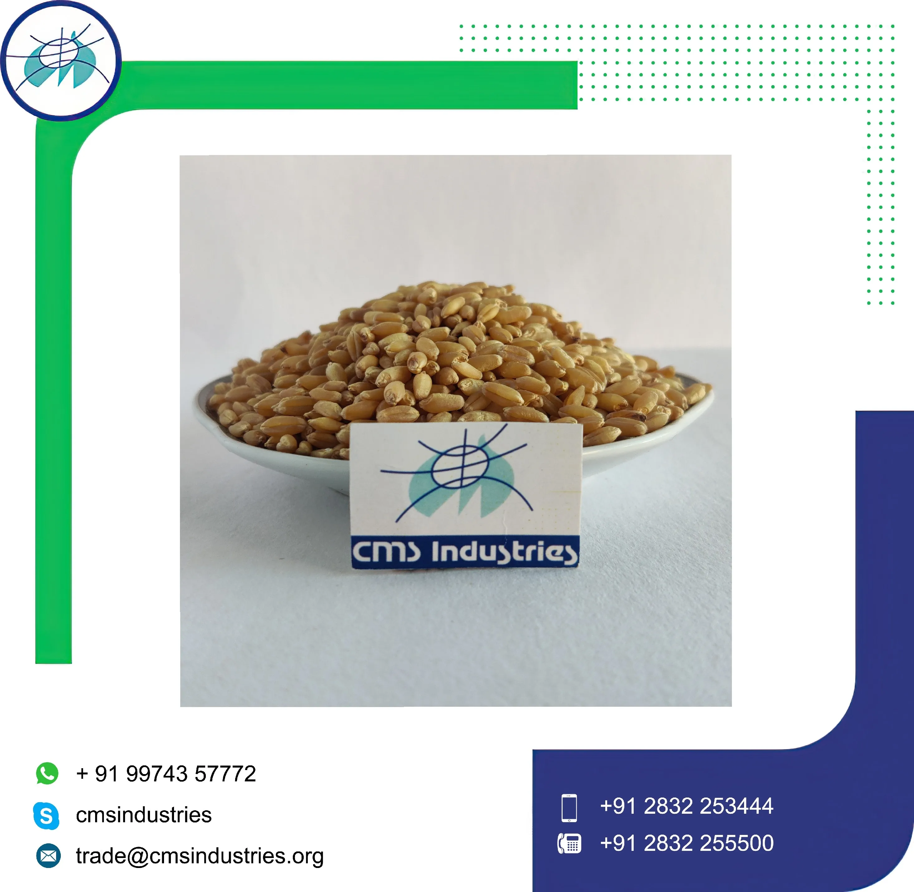 Превосходное качество пшеница Sharbati