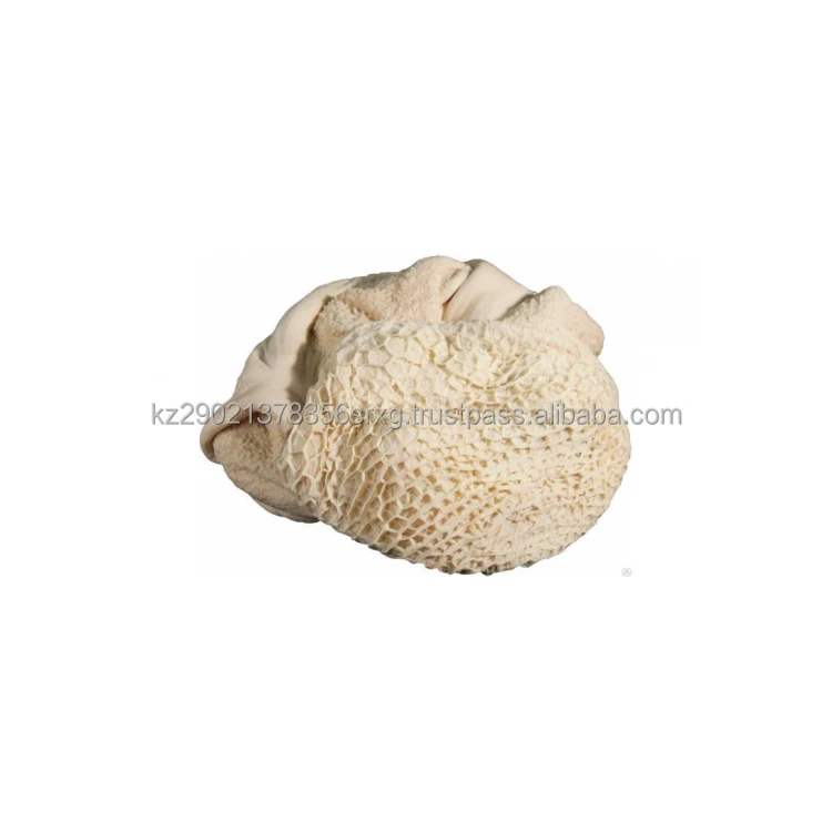 Beef tripe Beef meat processed beef stomach the novelty will surprise any gourmet other meat & poultry