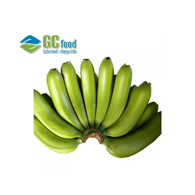 2022 Fresh cavendish banana  - 100% Green Fresh Bananas with sweet taste  for wholesale - LC/TT at sight