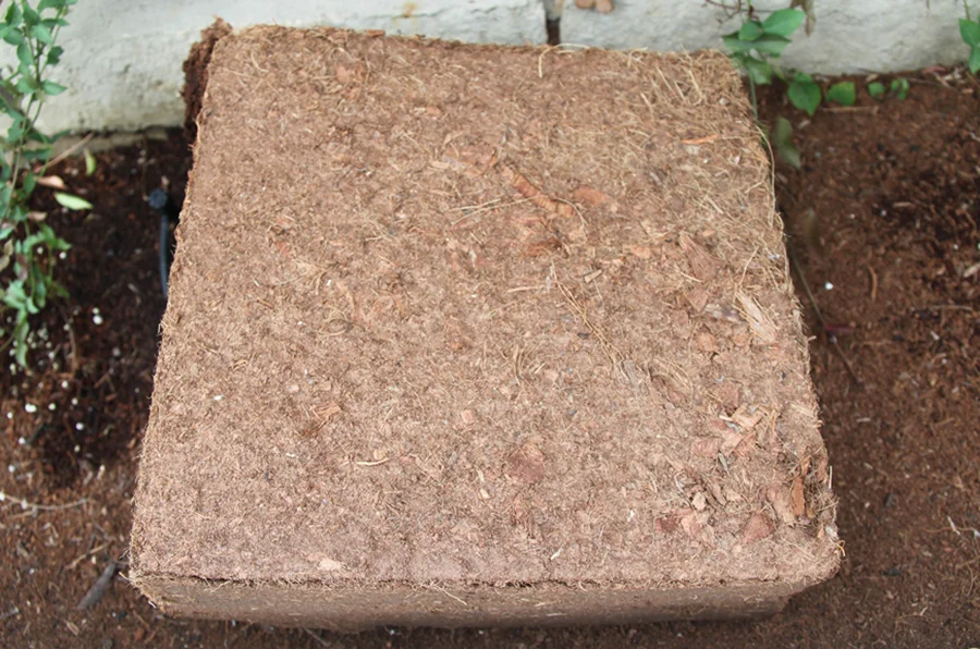 Cocopeat кокосовое волокно пальмовое для