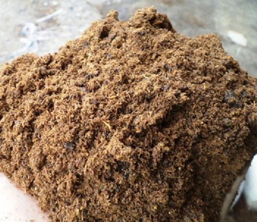 
Purchase Cotton seed Cake / Cotton seed meal for animal feed 