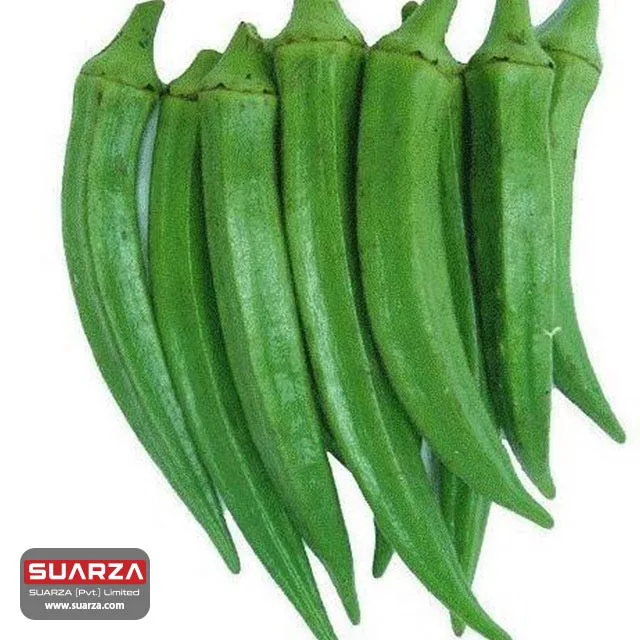 Здоровая форма свежий сезонный okra поставляется в Австралию Великобританию и другие страны по очень подходящей цене