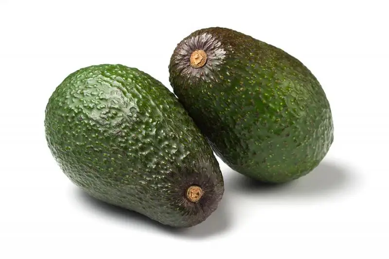 
High-quality Prices Fresh Sweet Hass Avocado from South Africa 