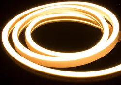 Personalized Luminous Holiday Party Custom Flexible Neon LED Neon Sign Light RGBW Silicon Waterproof 12V Retro Bag Customized