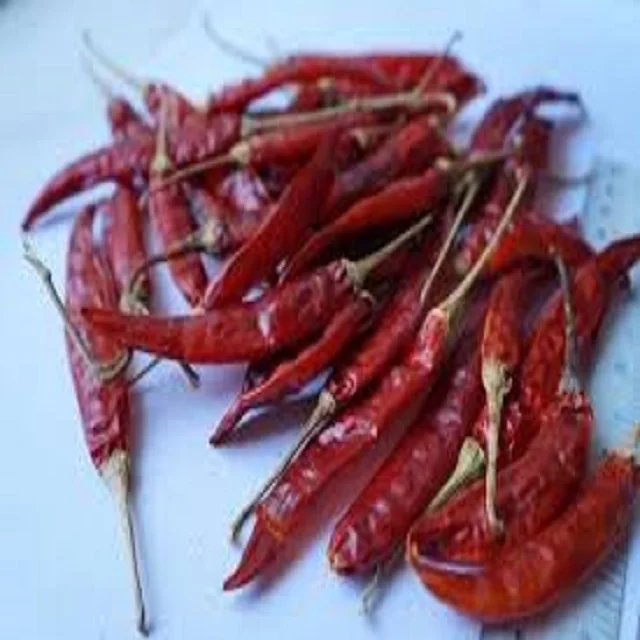 Dried Chilli New Crop Dried Vegetables Dehydrated Bulk Style Storage Packing Food Air Weight