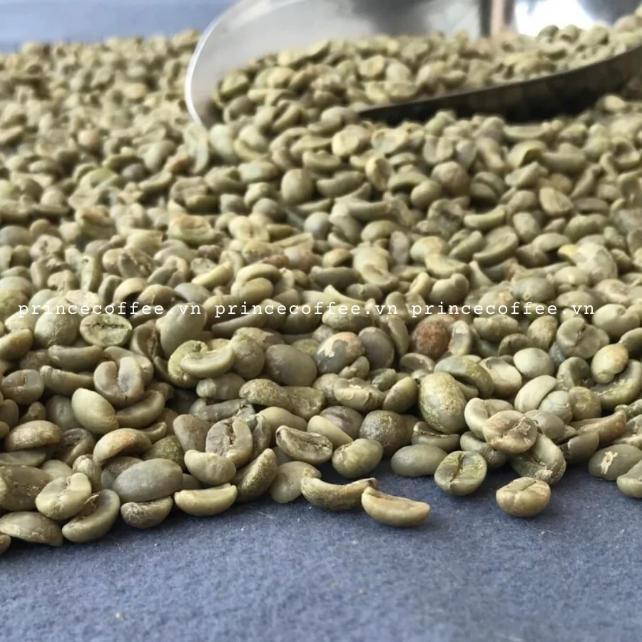  Лучшая Продукция вьетнамские кофейные зерна Arabica Robusta зеленые высококачественные необработанные