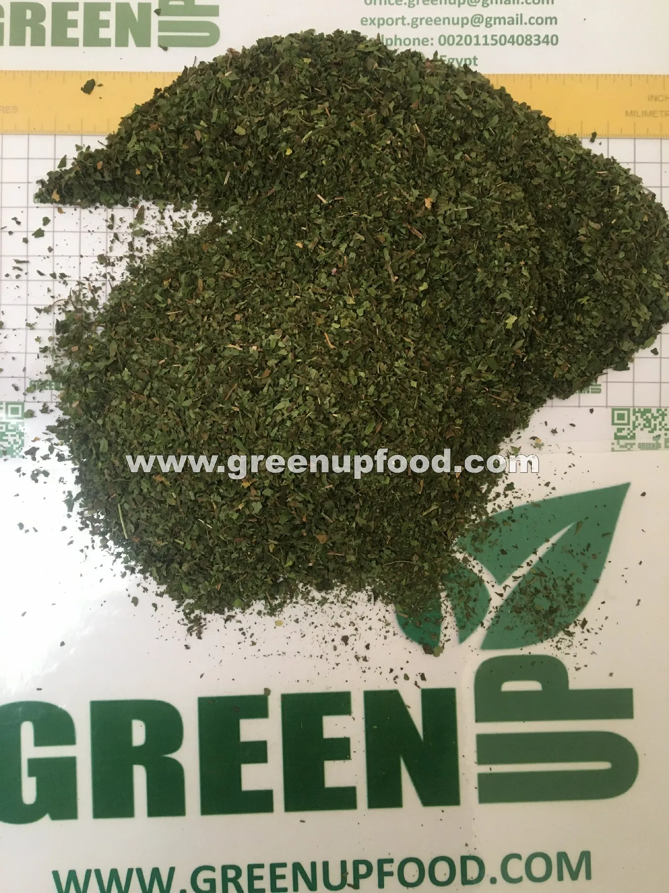 spearmint  leaves green color no ash content no admixture no black leaves  no impurities fresh crops Menthae piperitae