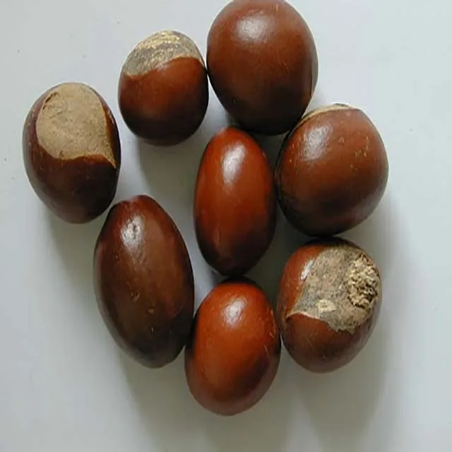 
Raw shea nuts 