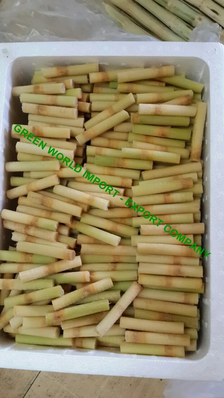 IQF SUGAR CANE WITH HIGH QUALITY FROM VIETNAM