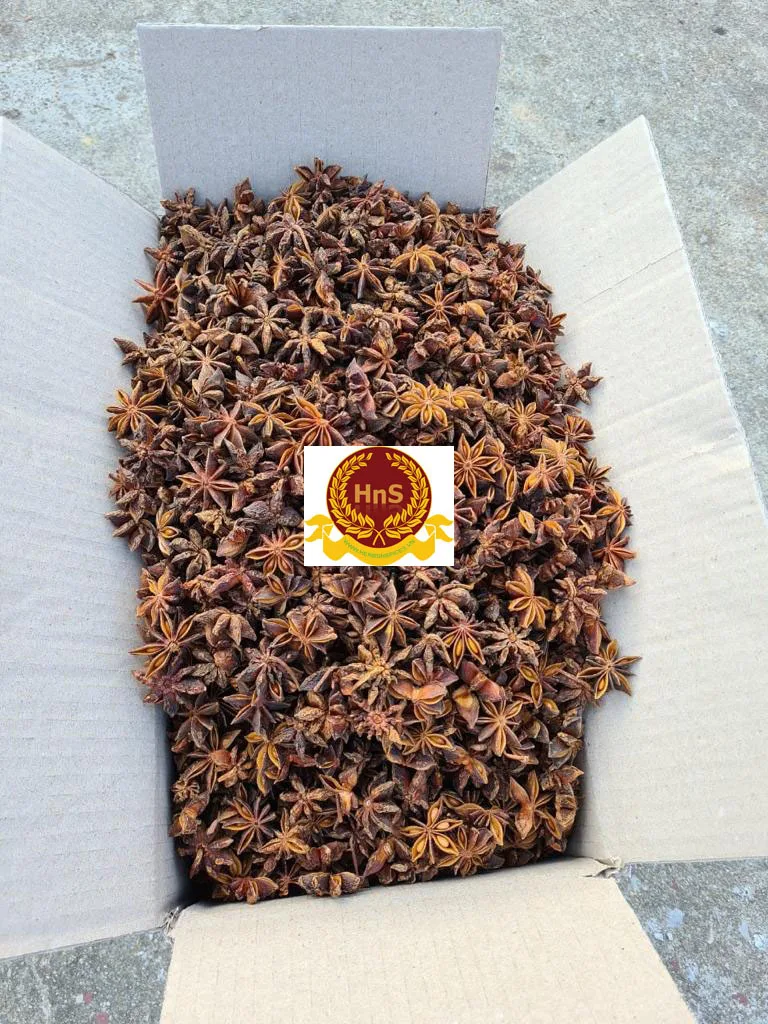 Reddish Spring Star Anise, Star Anise Seed, Vietnam Star Anise with Good Price