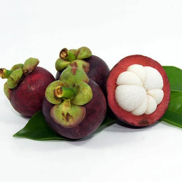 Свежий мангостин высокого качества по конкурентоспособной цене