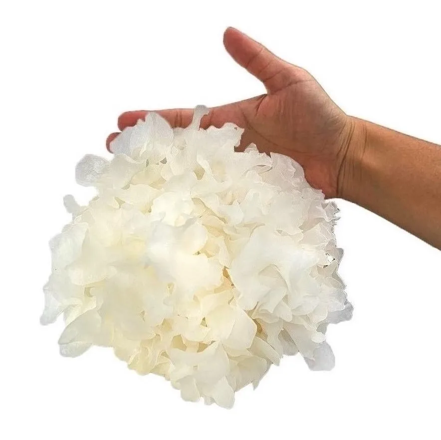 delicous Fresh organic white snow fungus with zip lock