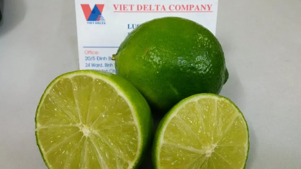 
LEMON SEEDNESS USED SALES FROM VIETNAM YUKI NGUYEN +84 37968256 