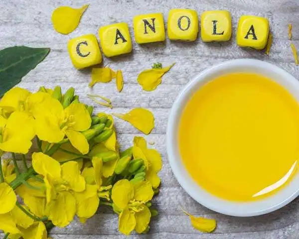 Необработанное рапсовое масло растительное бутылка рапсового