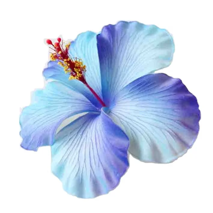 Hot Selling of All Time  Fashion Accessories Handmade EVA foam hawaiian hibiscus flower with special/Unique tattoo pattern print