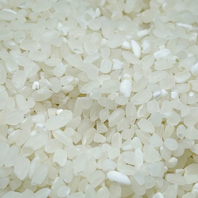 Hot Sale High Quality Vietnam Japonica Rice Good Price 15% 10% 5% Broken Rice Exporter
