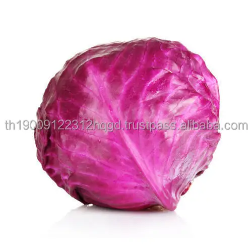 fresh-red-cabbage-500x500.jpg