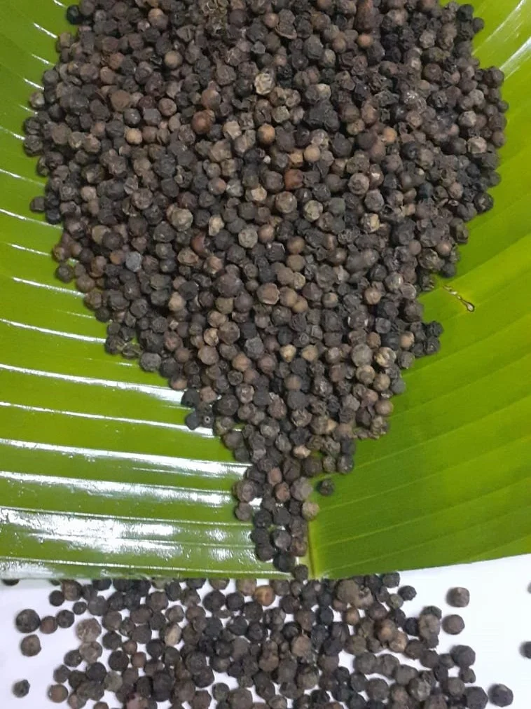 Madagascar Organic Bulk Sun Dried Spice Grade A Harvest High Quality Good Price Black Pepper
