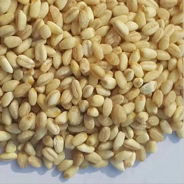 Продажа зерен белой мягкой и твердой