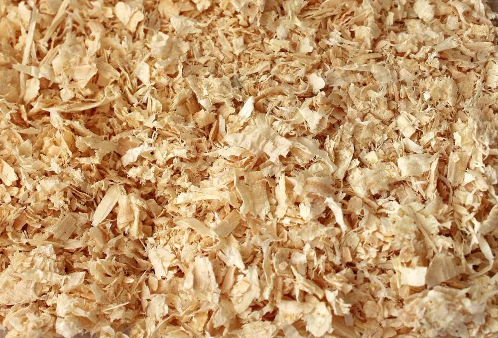 100% Quality  Grade Pine yellow Wood shavings for sale