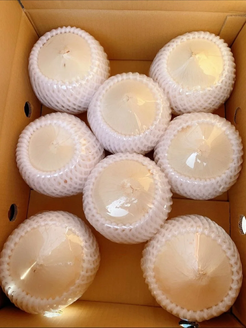 High Quality Wholesale Mild Sweet Taste Of Water Fresh Coconut With 25 Days Shelf Life From West Of Vietnam
