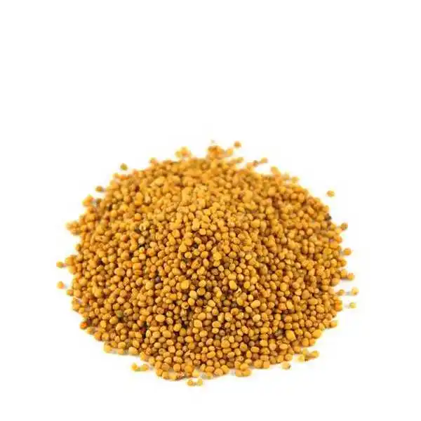 High Quality Good Price Of Dried Top Yellow And White Mustard Seeds Mustard Seed Wholesale Cheap Price From Bangladesh