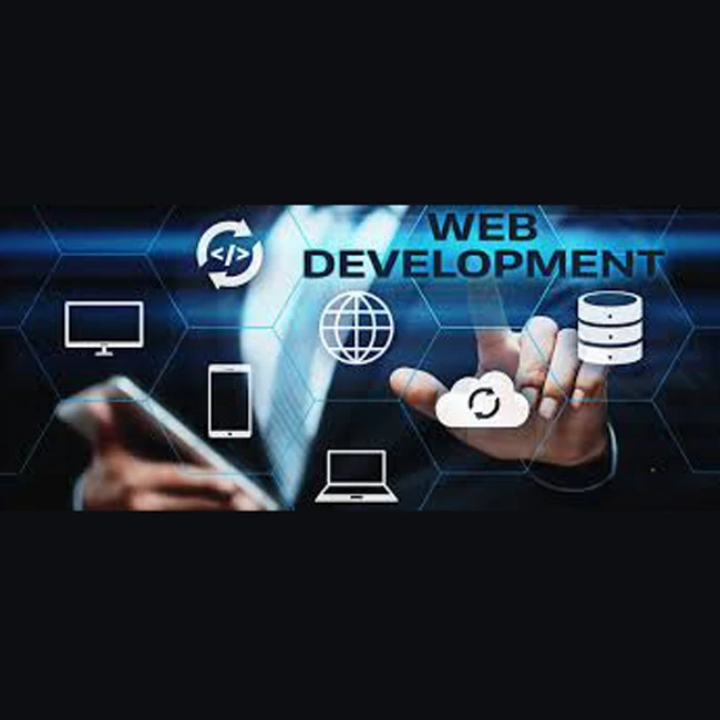 
Most Effectively Optimized Custom Consumer Shopping Websites on Internet 