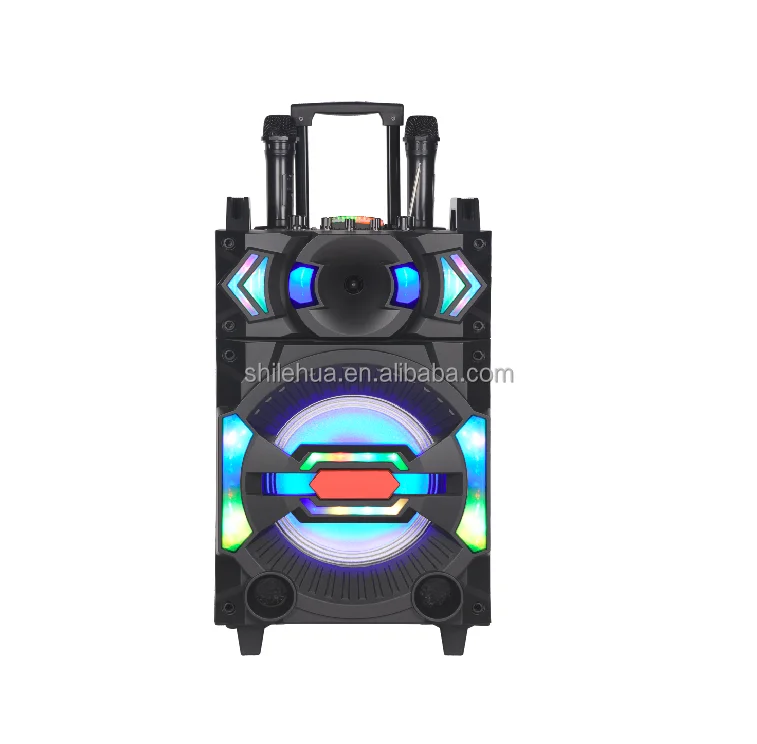 2021 new, 10 inch, trolley bass speaker, DJ sound effect, with USB TF BT TWS FM microphone