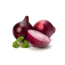 High Quality Export Fresh White Onion Price Onions Fresh