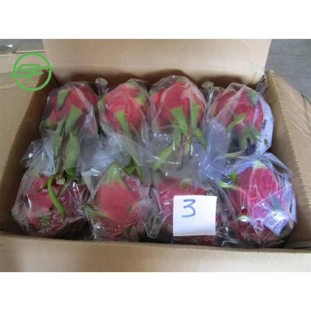 Свежий фрукт дракона хорошего качества по низкой цене (Whatsapp/zalo/wechat: + 84 912 964 858)