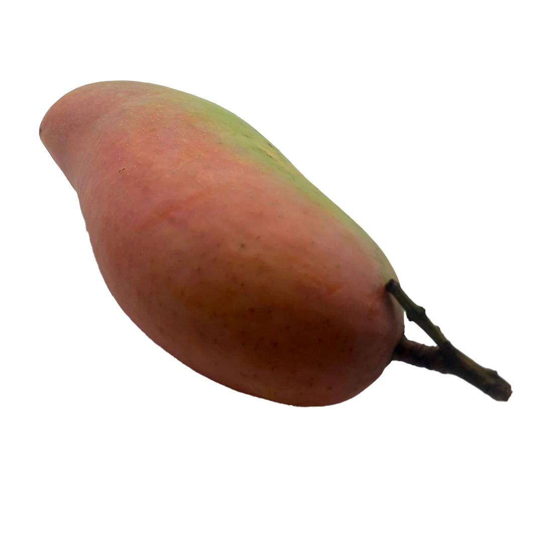 Premium and High Quality Fresh Premium Grade Mangoes Fruit Box Packing Quality Selecting for Consuming Mahachanok Mangoes.