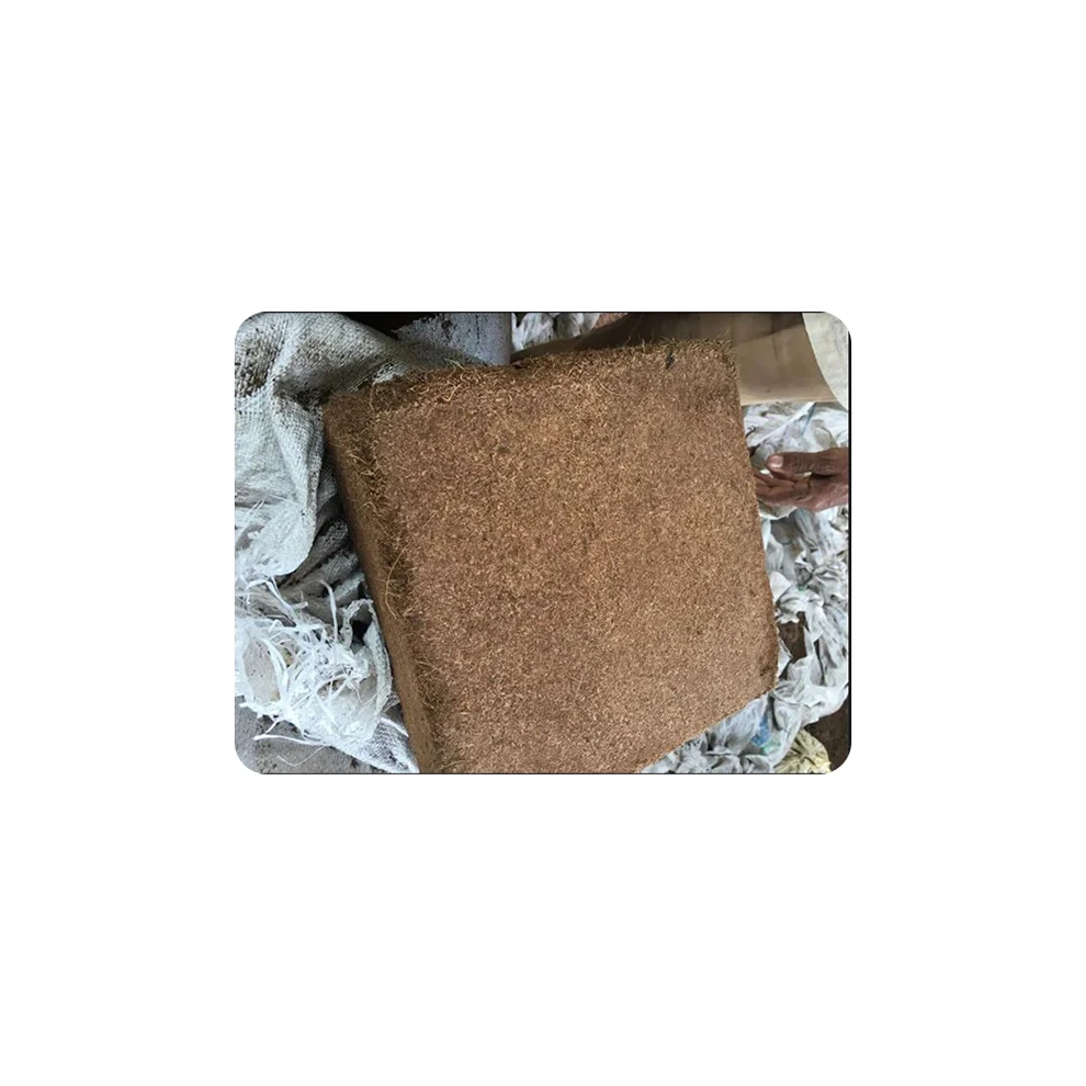 Растения, растущие кокосовый кубик