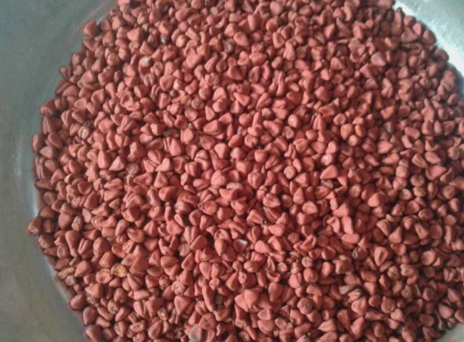 Естественный экстракт Annato пищевой цвет MS ANNA + 84902804571