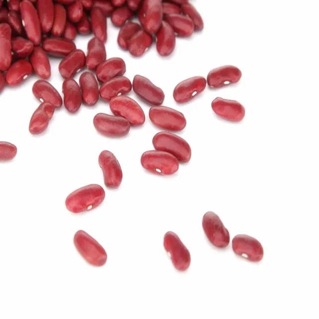 Export Quality Red Kidney Beans, Dark Red Kidney and White Kidney Beans Offer