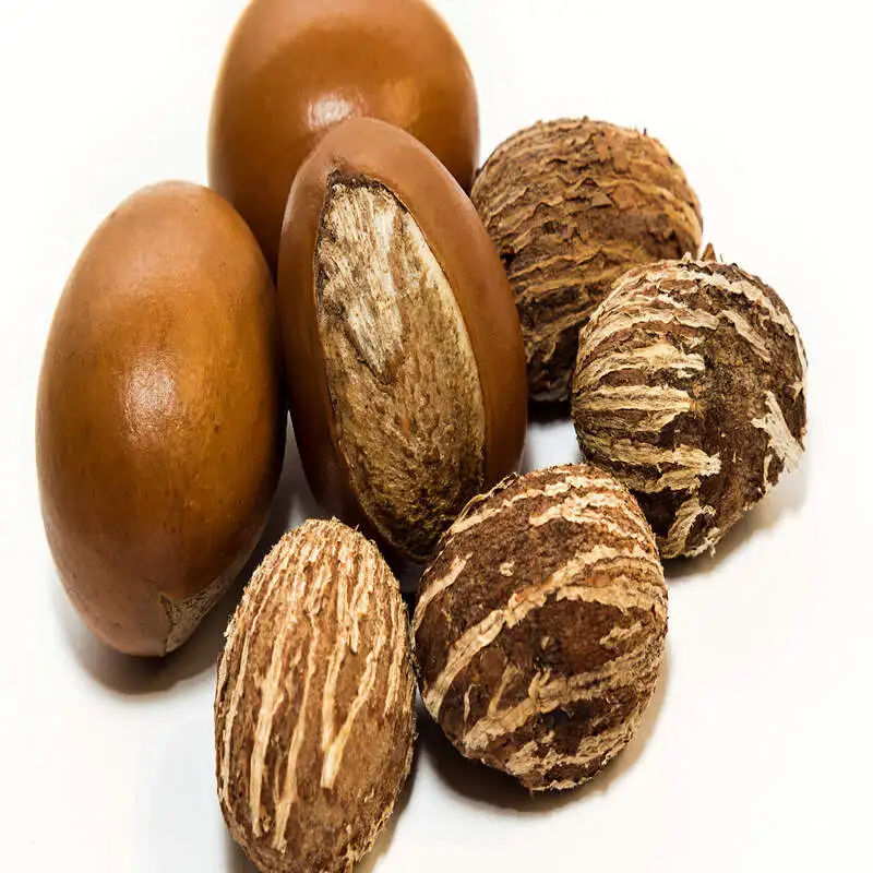 Shea Nuts High Quality Palm Kernel Shell, Garcinia Kola Top Quality Best Grade West African Countries Quality Dry Raw