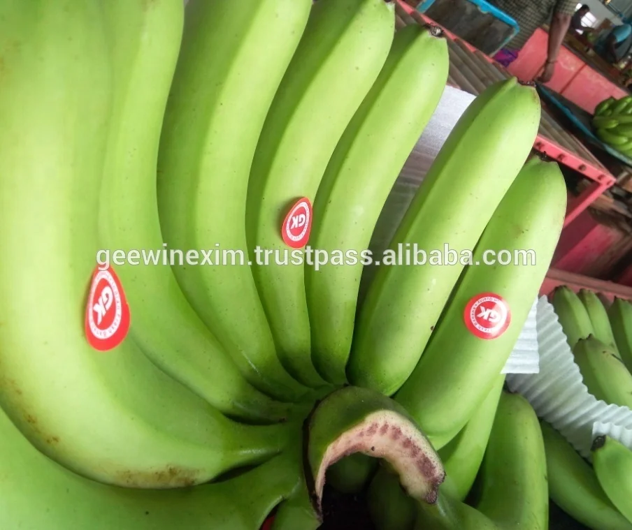 FRESH FRUIT BANANA