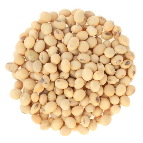 
Wholesale High Quality Soybean/soya Bean, Soybean Seeds COMMON Dried Bulk AD 