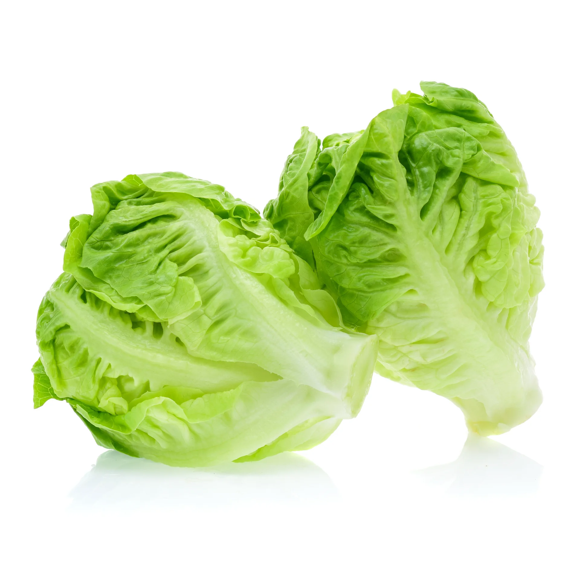 Салат-высокое качество