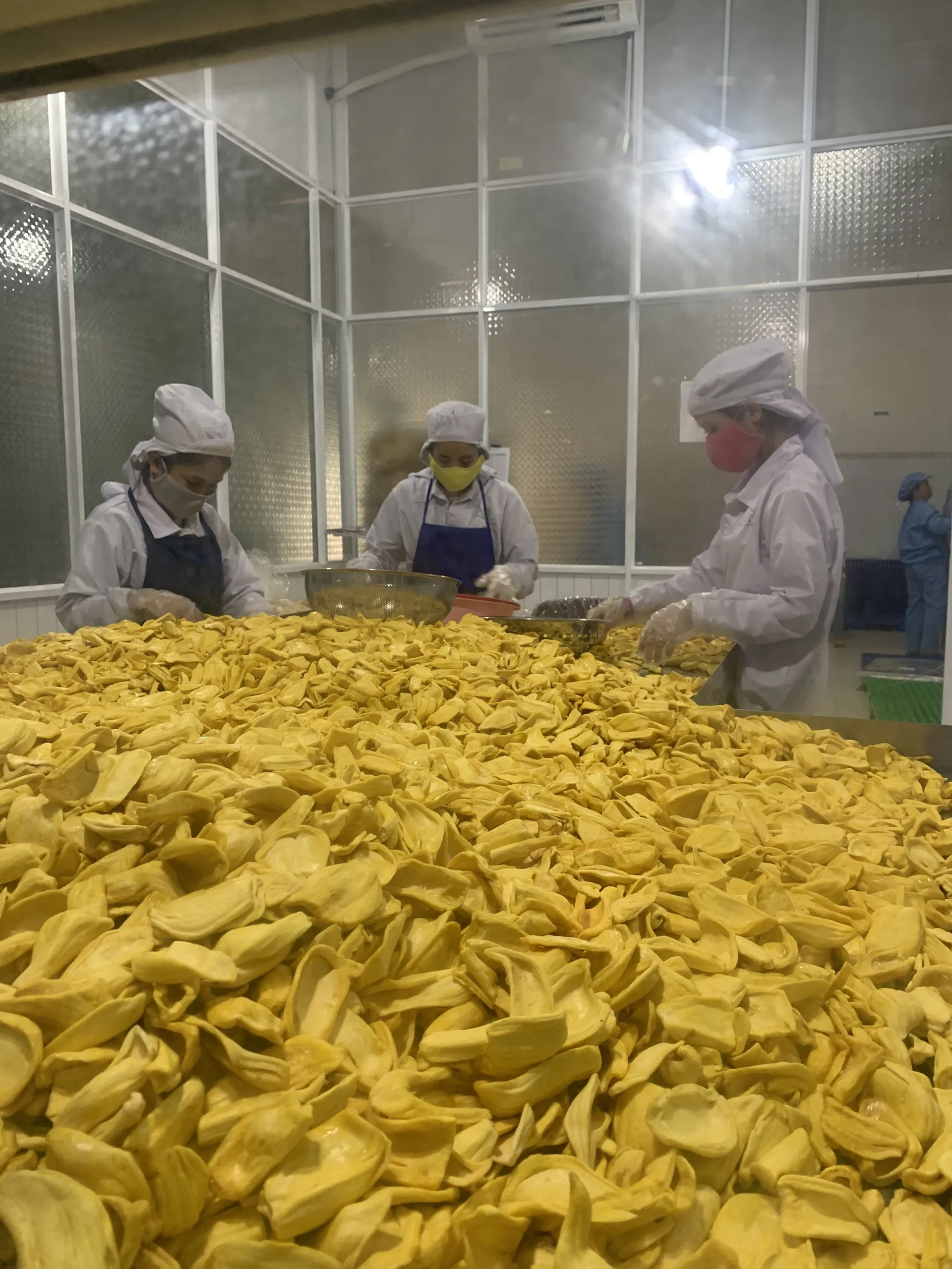 Vietnam IQF Frozen Jackfruit for export High quality and competitive price VIETGAP certification ready to shipping