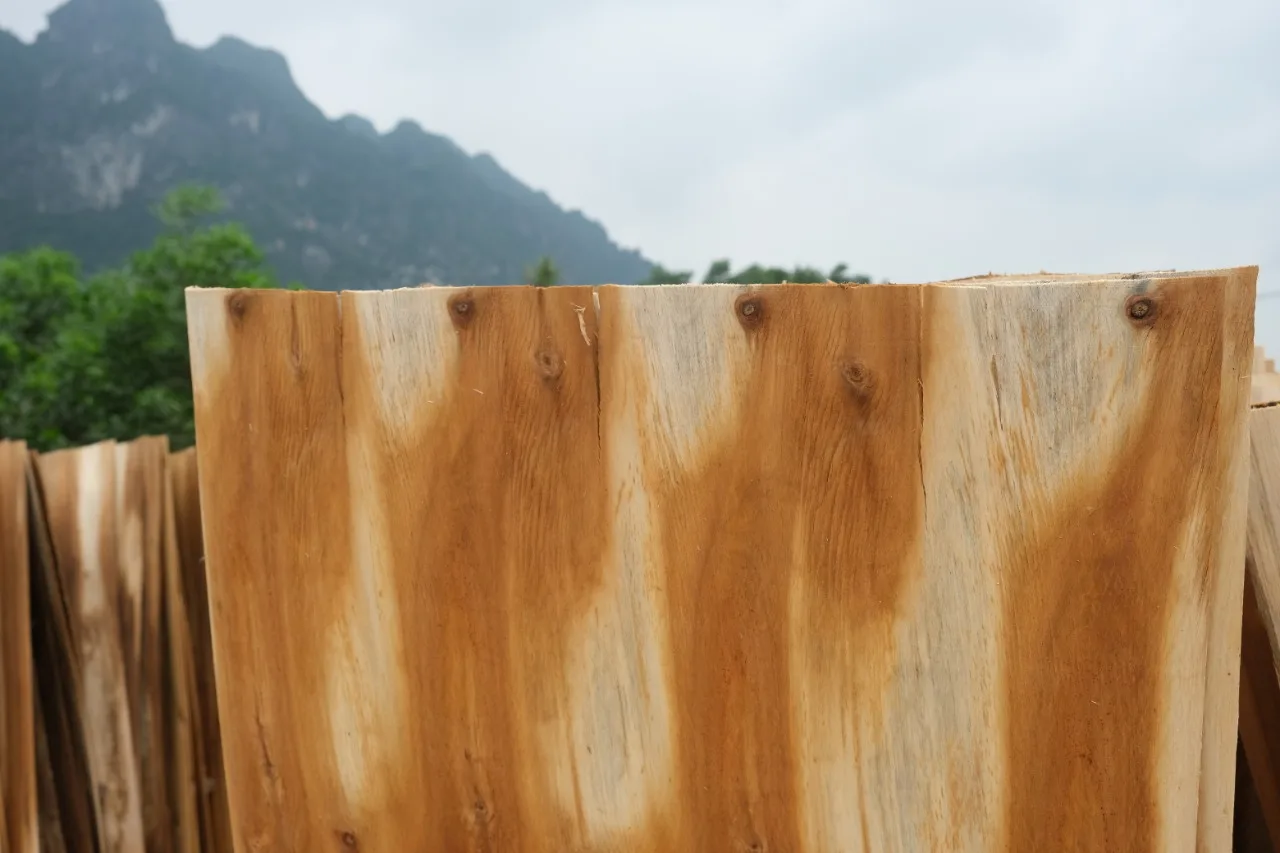 Vietnam high quality good price plywood veneer grade A, B, C with T/T L/C payment method