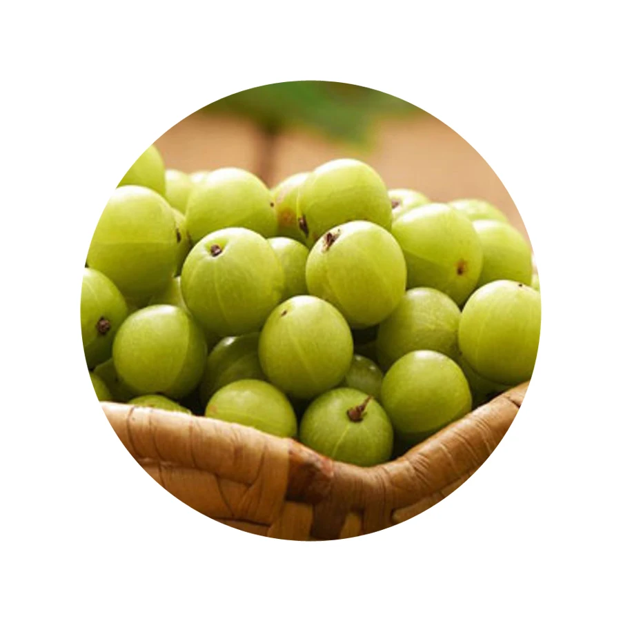 amla powder for hair 19