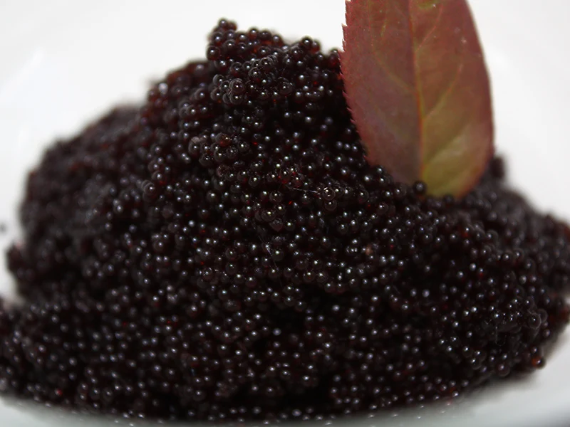 High quality Sustainable Siberian Sturgeon Caviar 500gr