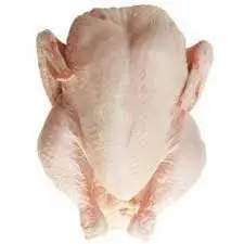 EXPORT GRADE HALAL FROZEN WHOLE CHICKEN CHICKEN FEET CHICKEN PAW