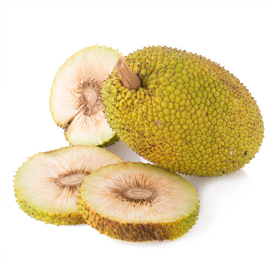 Сушеные закуски хит продаж 2021 из Вьетнама для оптовых и OEM с сертификацией HACCP